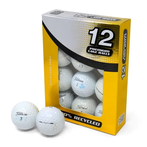 Titleist Pro V1 Grade B Recycled / Lake Golf Balls 3 Titleist Pro V1 Grade B Recycled / Lake Golf Balls